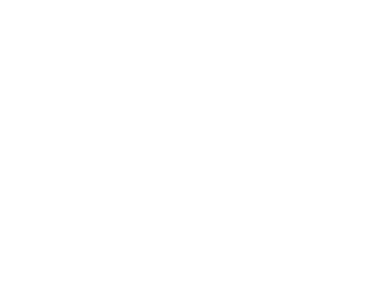 Bold Power Bikes
